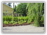 Bjørnar Rui Bjerketvedt